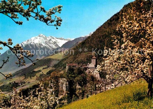 Merano Meran Castel Tirolo mit Ziel spitze