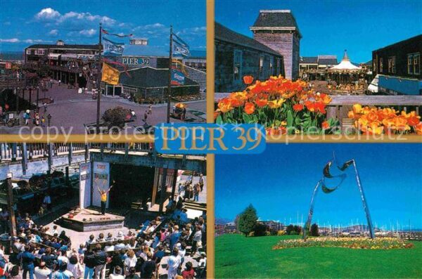 San Francisco California Pier 39