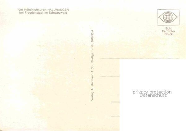 Hallwangen – Bild 2