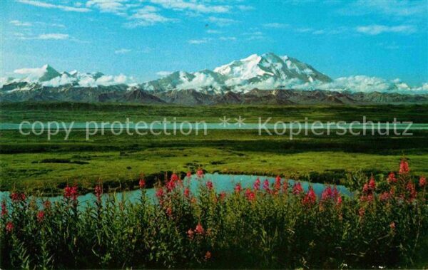 Mount McKinley Alaska McKinley National Park