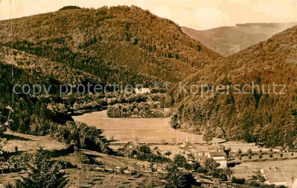 Benshausen Panorama Benshäuser Grund Thüringer Wal
