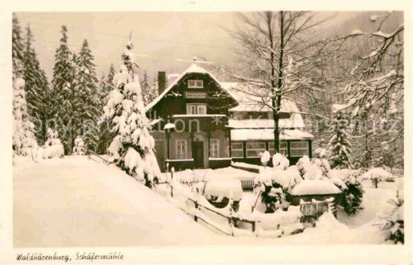 Waldbaerenburg Schäfermühle im Winter