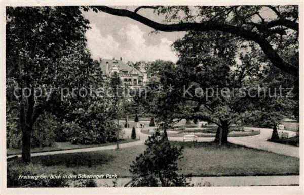 Freiberg Sachsen Blick in den Scheringer Park
