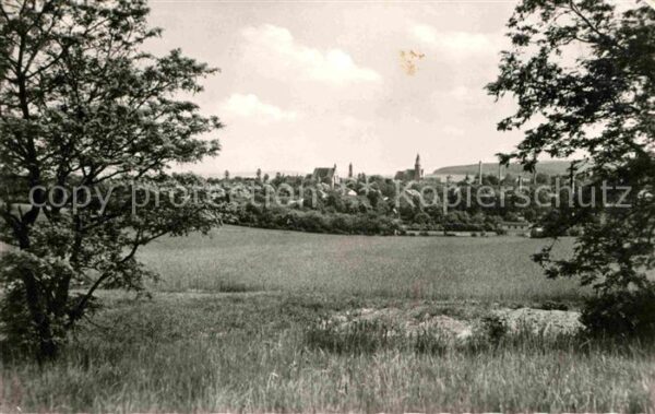 Kamenz Sachsen Blick über die Wiesen