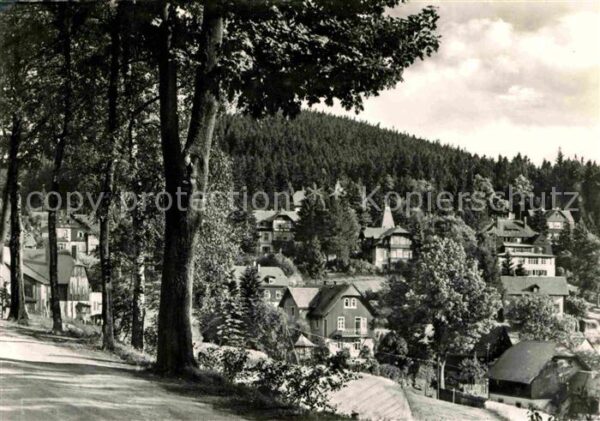 Baerenfels Erzgebirge Teilansicht mit Spitzberg