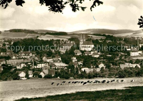 Schirgiswalde Ortsansicht mit Kirche Viehweide Kühe