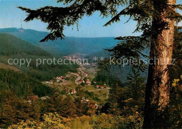 Bad Herrenalb Panorama Blick ins Gaistal Schwarzwald