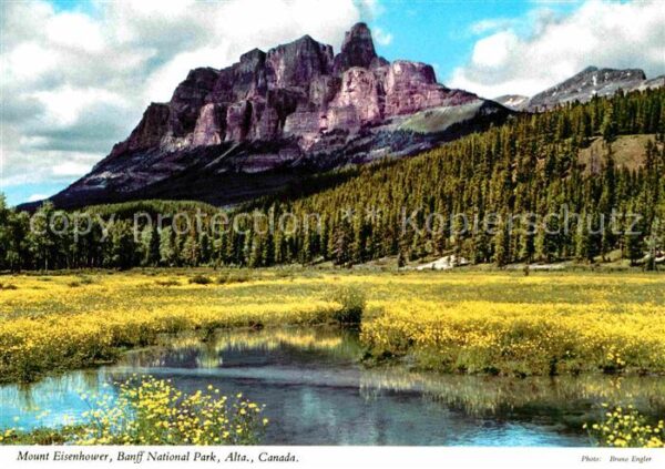 Alberta  Mount Eisenhower Bow Valley Banff Natio