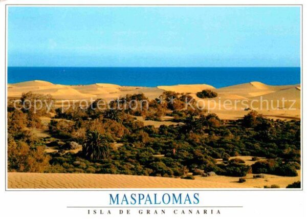Maspalomas Panorama