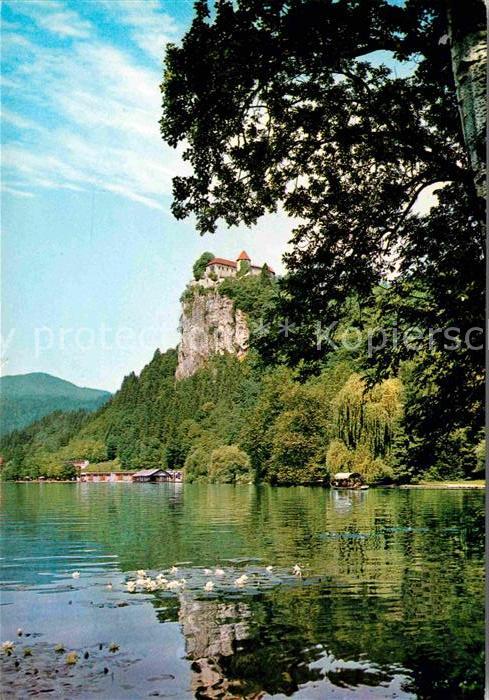 Bled Burgblick