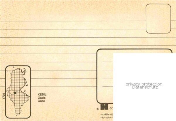 Kebili Oase – Bild 2