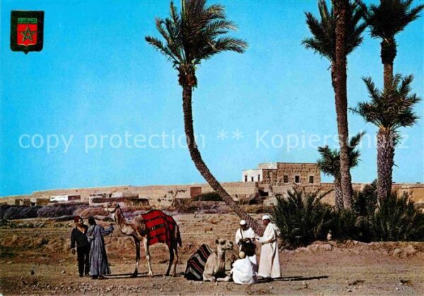 Marrakesch Marrakech Oase Kamele Beduinen