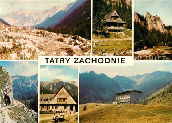 Tatry Zachodnie Kwitnace krokusy Dolina Chocholowska Ko