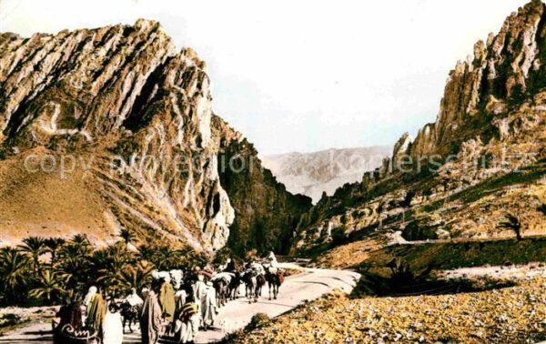 Ouargla ---