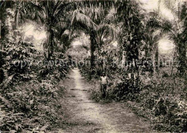 Gabon Plantations