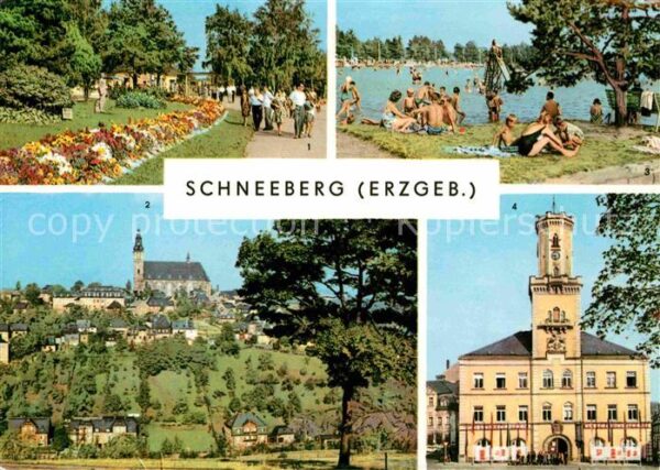 Schneeberg Erzgebirge Promenade Filzteich Kirche Rathaus