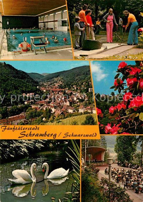 Schramberg Hallenbad Minigolfplatz Panorama Schwan