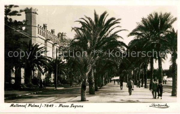 Palma de Mallorca Paseo Sagrera Palmen
