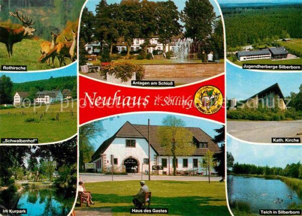 Neuhaus Solling Rothirsche Schloss Jugendherberge Kirch