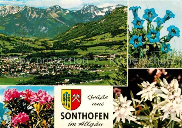 Sonthofen Oberallgaeu Gesamtansicht mit Alpenpanorama Alpenfl