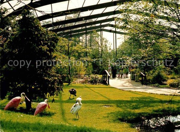 Walsrode Lueneburger Heide Vogelpark Freiflughalle