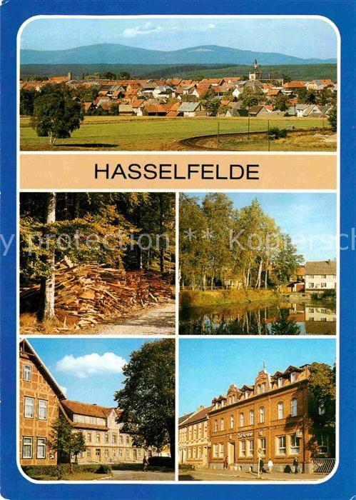 Hasselfelde Übersicht Holzköhlerei Teichstrasse Mar