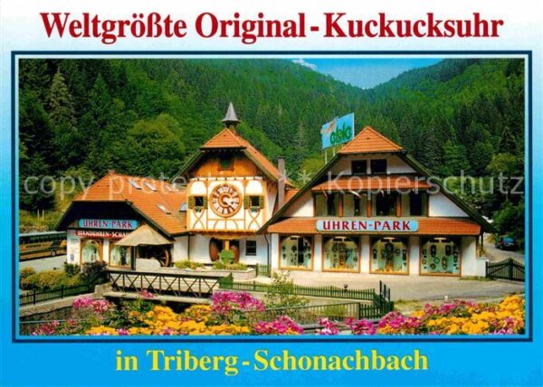 Schonachbach Weltgrößte Original Kuckucksuhr Uhrenpa