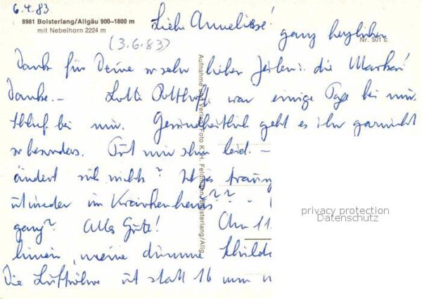 Bolsterlang Nebelhorn – Bild 2