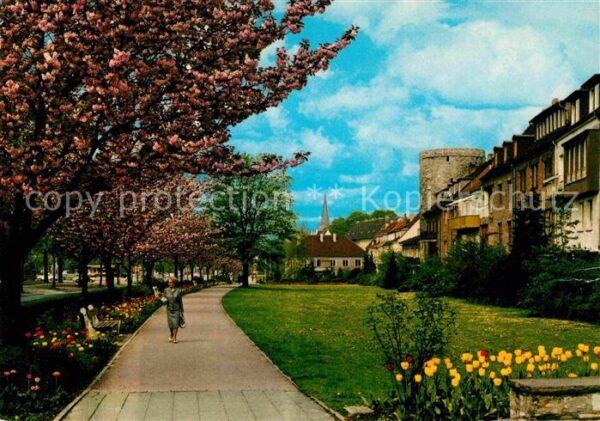 Paderborn Libonberg