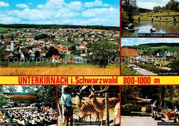 Unterkirnach Vogelpark Schlossberg Drachenbrunnen Wi