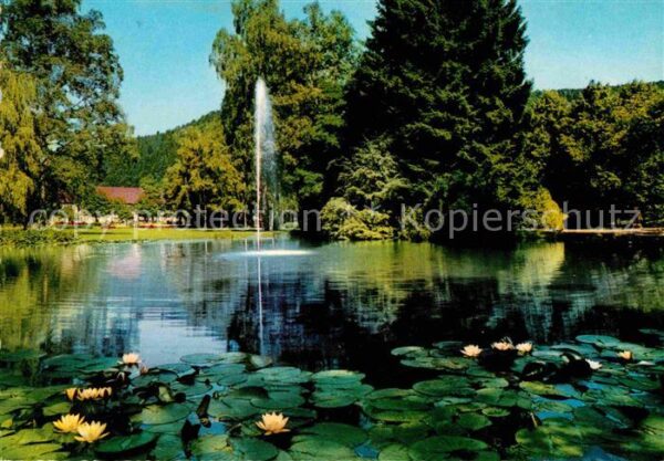 Bad Liebenzell See
