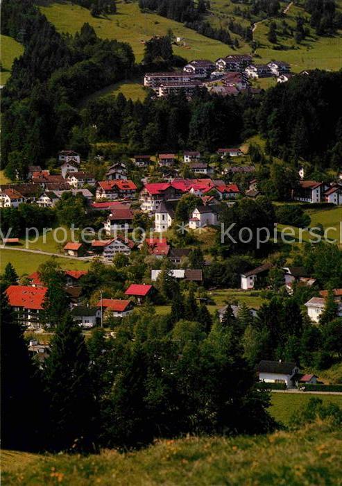 Buehl Alpsee Fliegeraufnahme