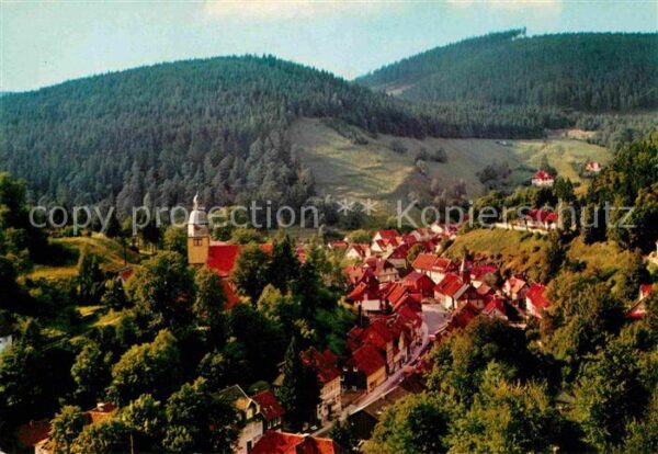 Wildemann Panorama