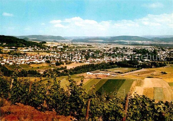 Wittlich Panorama