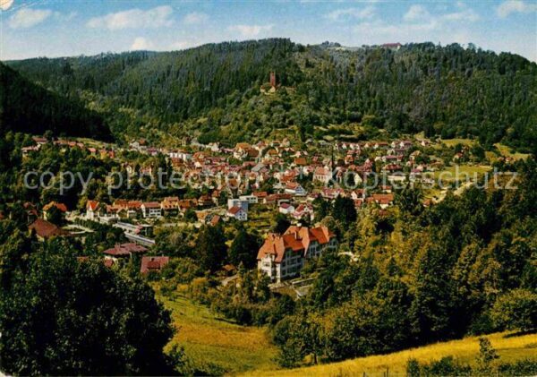 Bad Liebenzell Panorama Burg