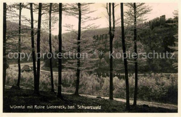 Schwarzwald Würmtal mit Ruine Liebeneck