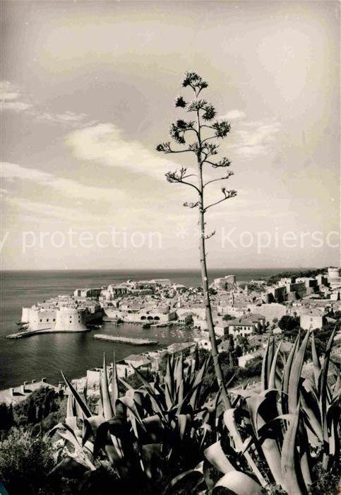 Dubrovnik Ragusa Hafen