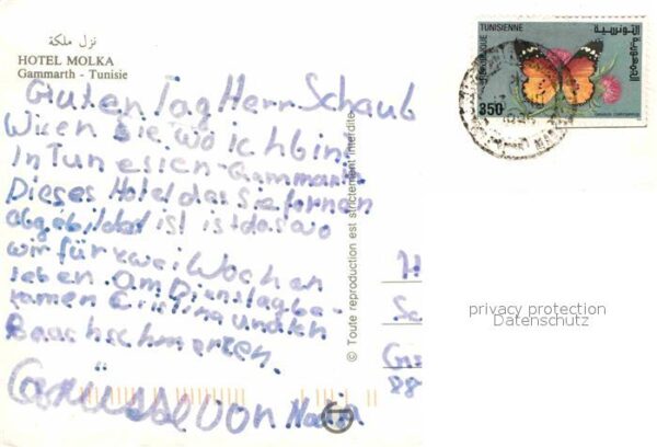 Gammarth Hotel Molka – Bild 2