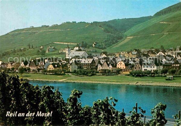 Reil Moselpartie
