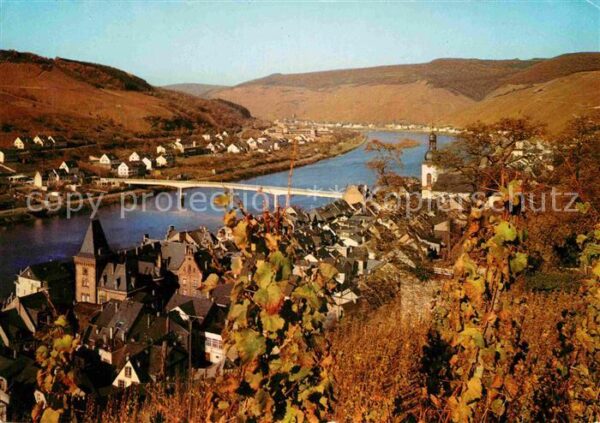 Zell Mosel Moselpartie