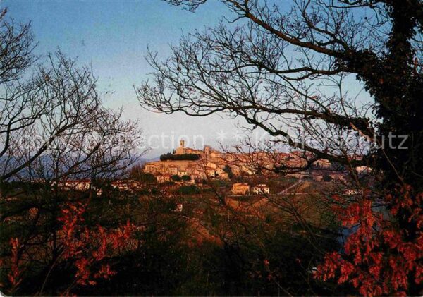 Montescudaio
