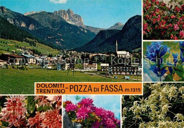 Pozza di Fassa Panorama Alpenflora