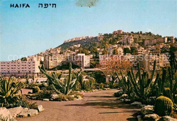 Haifa Partial view