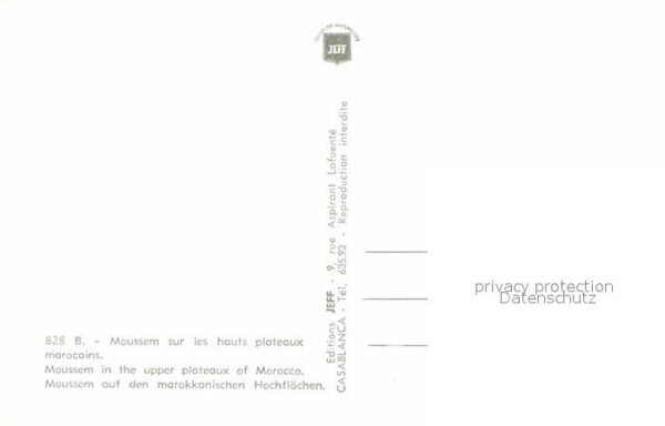 Kamel  Camel Chameau Moussem Marocco – Bild 2