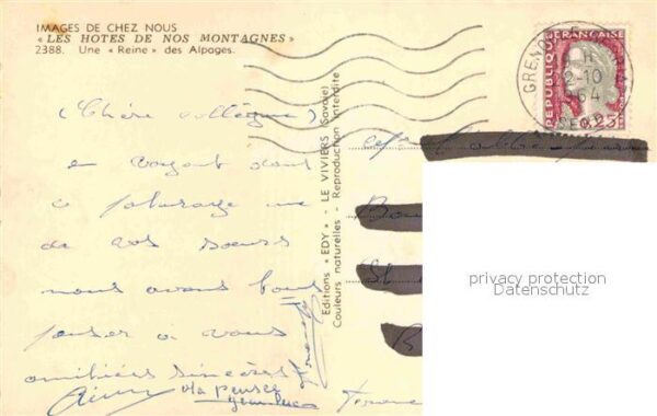Kuehe Reine des Alpages – Bild 2