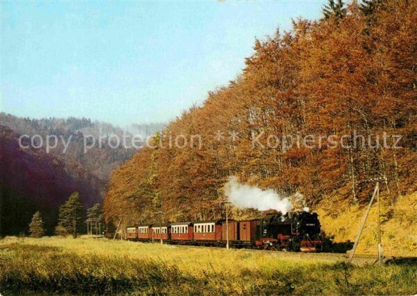 Lokomotive Harzquerbahn Netzkater