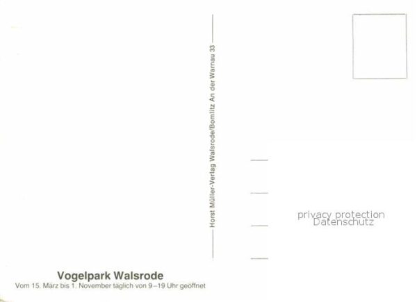 Voegel Vogelpark Walsrode Papagei Flamingo – Bild 2