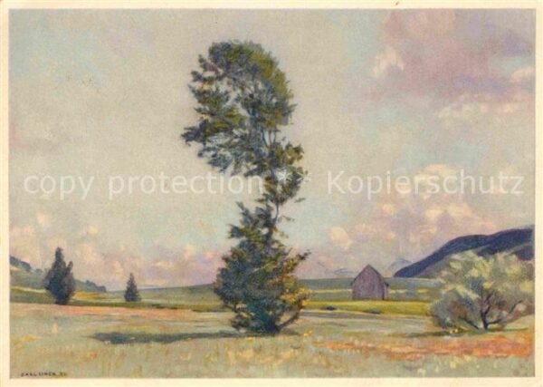 Liner Carl Eggerstander-Moos Appenzell