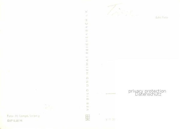 Pferde – Bild 2