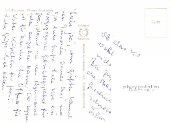 Kamel  Camel Chameau Sud Tunisien Heure de laTetee – Bild 2